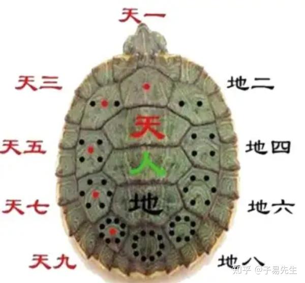 15元快餐能火多久？拆解低价餐饮的生存法则与3大转型路径