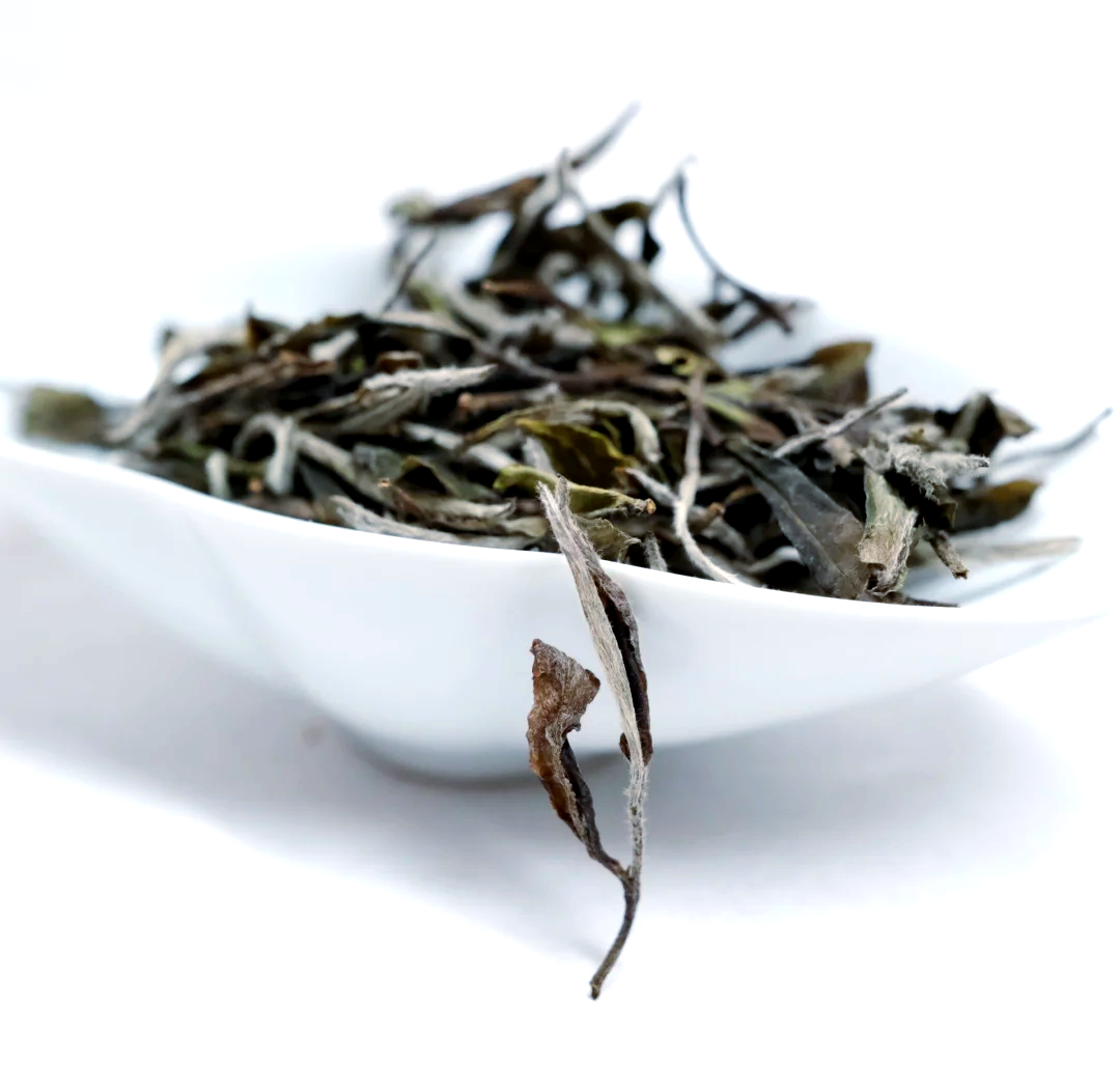 广佛新茶嫩茶怎么选才能避坑？——新茶购买全攻略