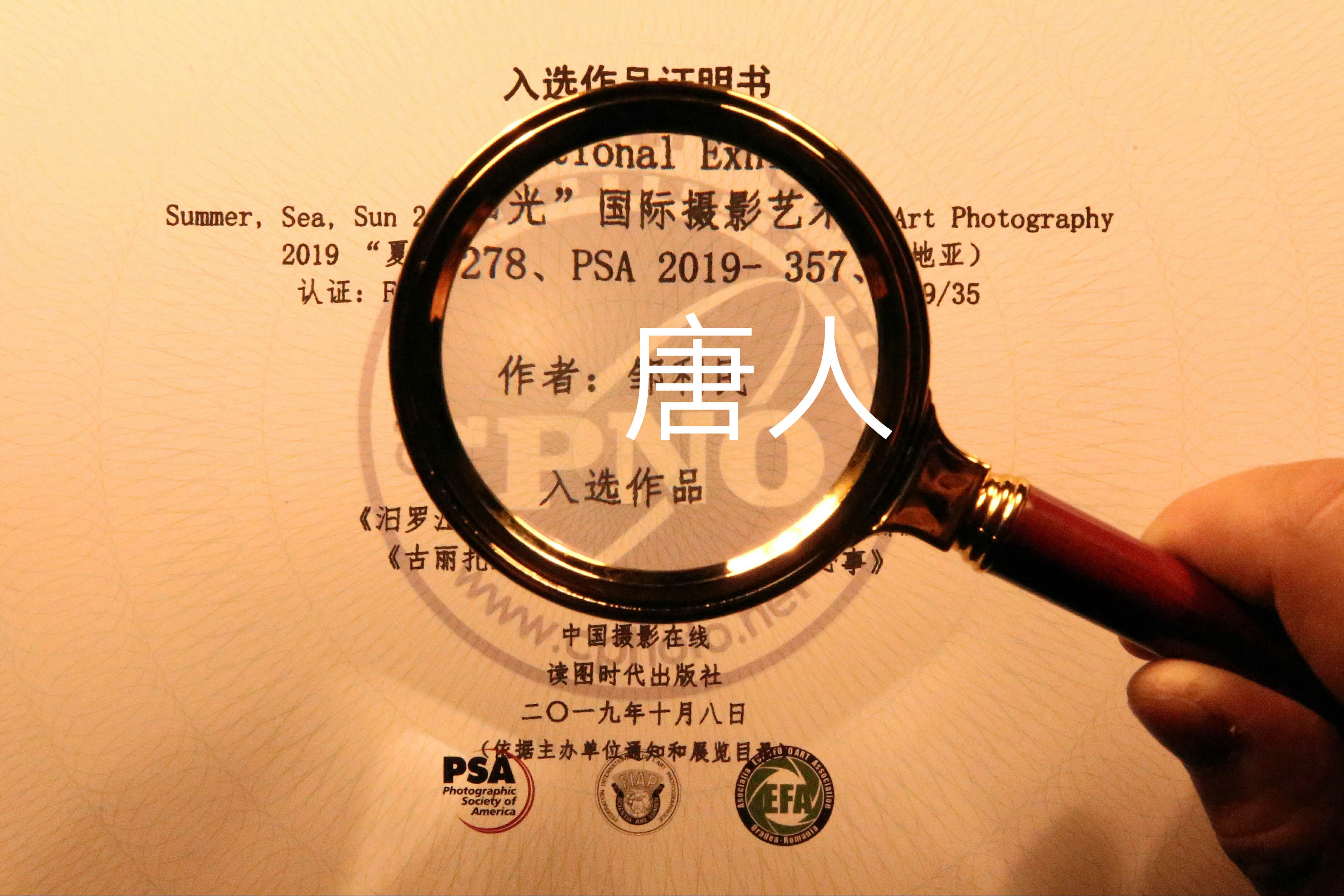 唐人阁与一品楼论坛：文化美食的双重盛宴