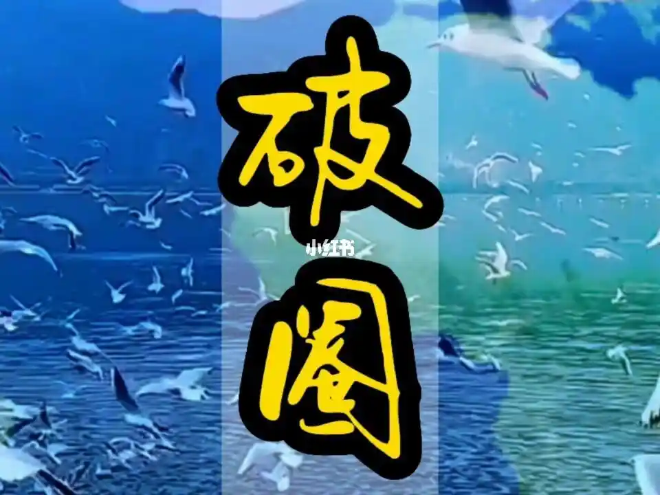 从社交裂变到健康生态：约跑软件的破圈之路