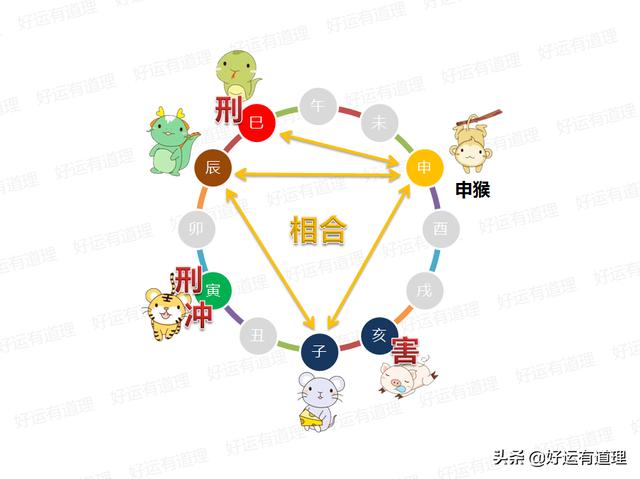 辽宁楼凤论坛qm现象解析与入门指南全方位解读