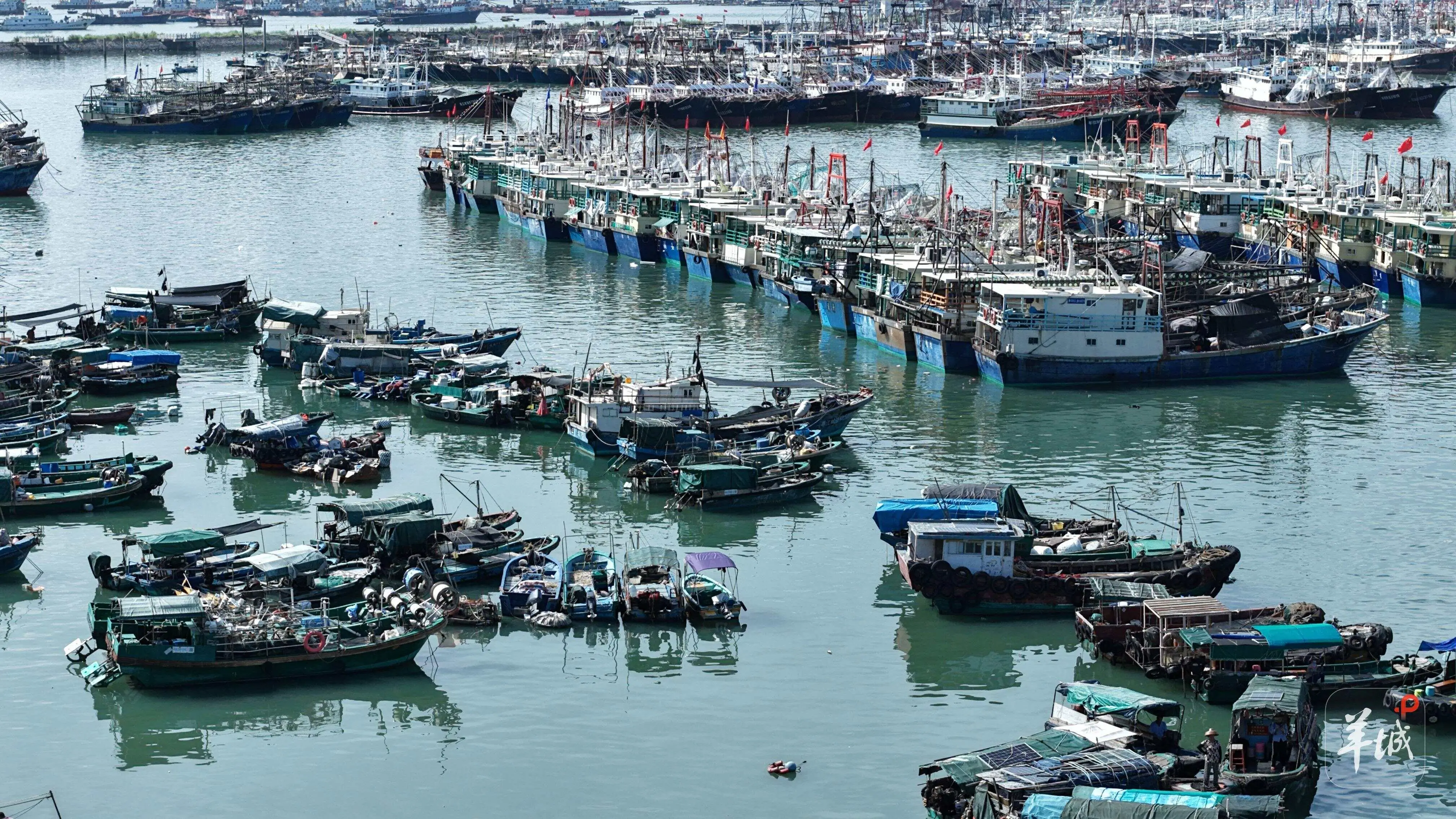 阳江上门服务24小时接单