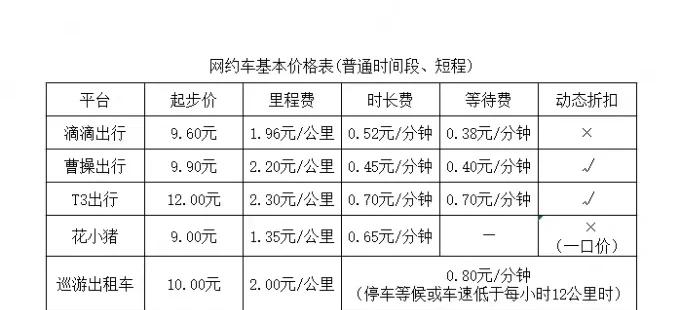 专约老阿姨团队现状解析与运营模式及市场竞争力探讨