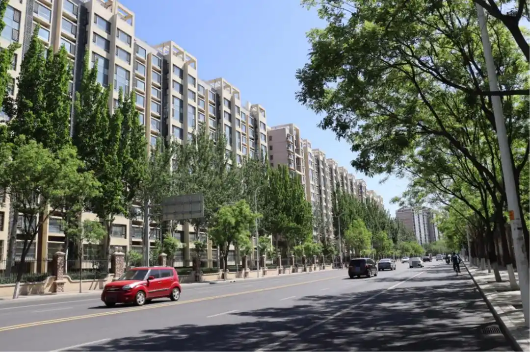 天通苑站台浮世绘：巨型社区毛细血管里的昼与夜