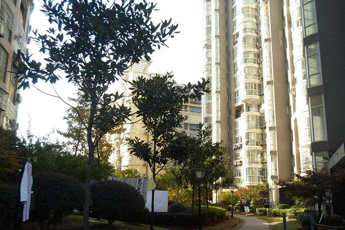 长沙星沙二还有站街现象吗？实地探访告诉你真相