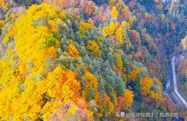 汉中历史与特色全解析：汉中小姐信息从哪儿找 汉中的美称有哪些 陕西汉中十大特产