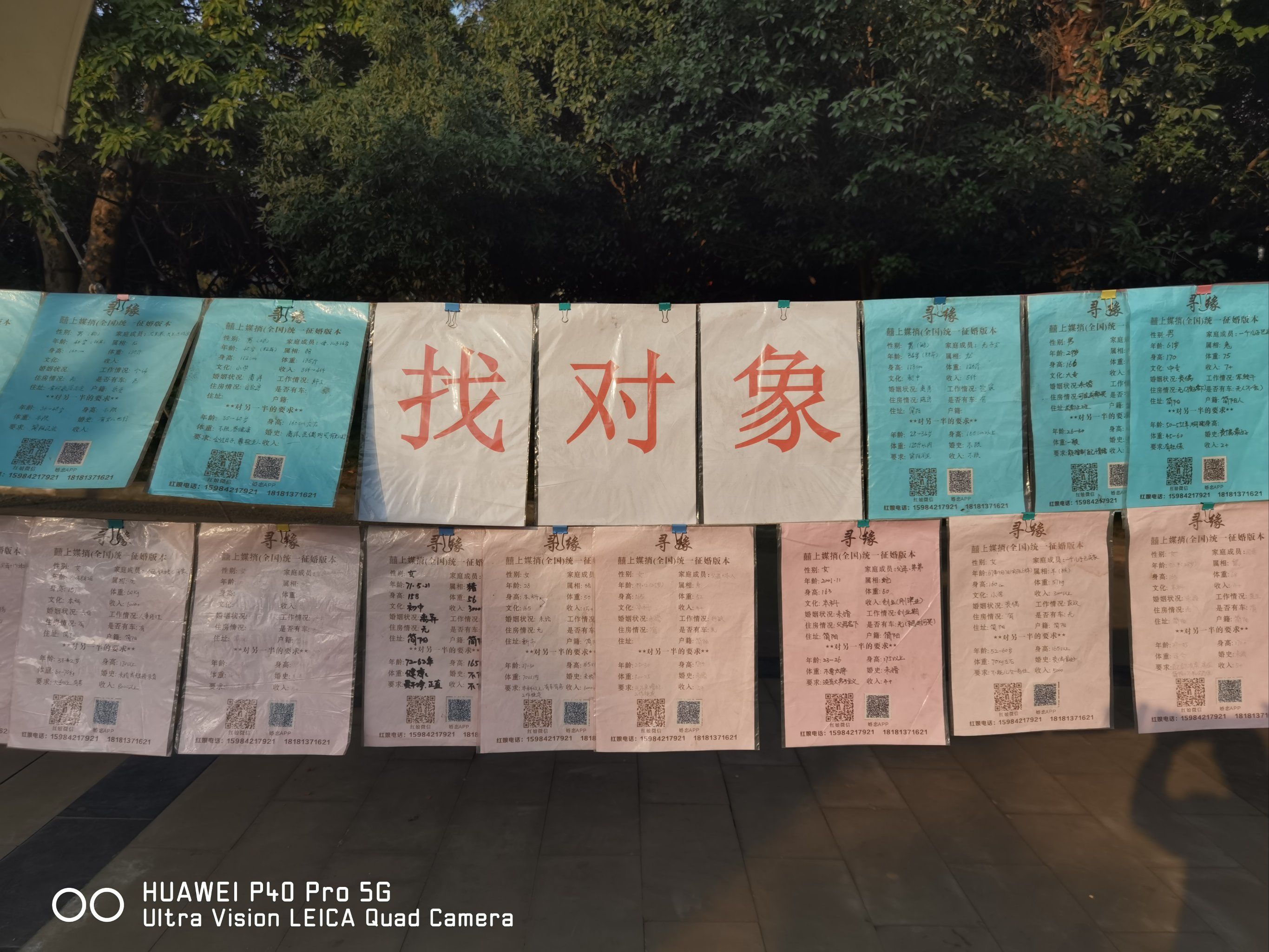 同城约真实性调查,揭秘本地社交的信任困境