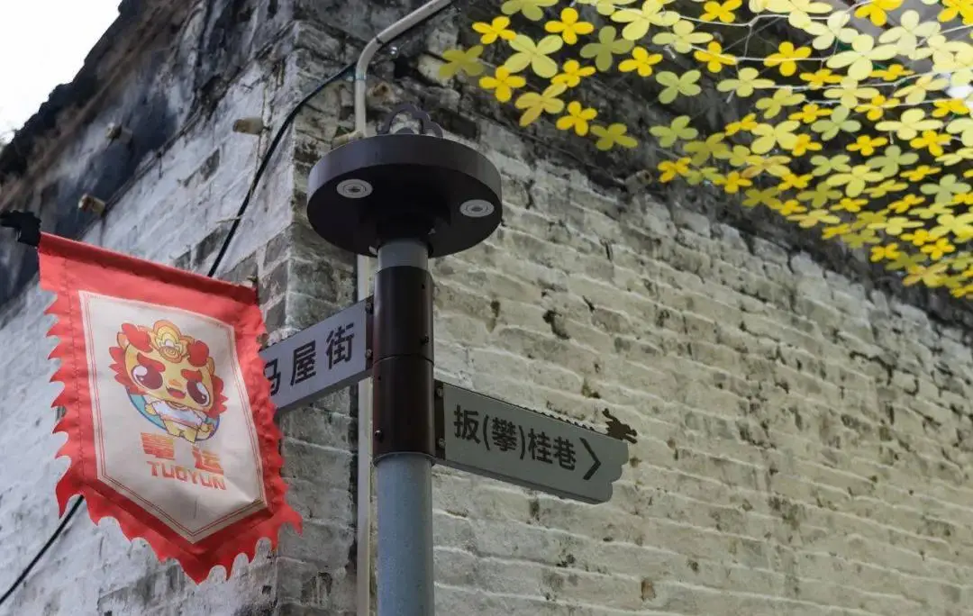 阳江中山公园对面小巷子150号藏着什么秘密？揭秘阳江及厦门美食与旅游推荐