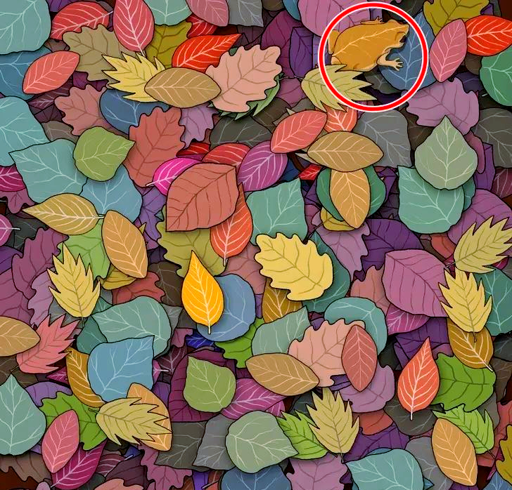 美团隐藏服务在哪里？这份全面指南教你轻松找到90%用户都不知道的秘密功能