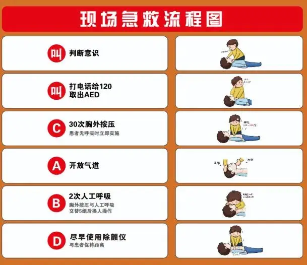 空降约爱全攻略：新手必知的恋爱秘籍全指南