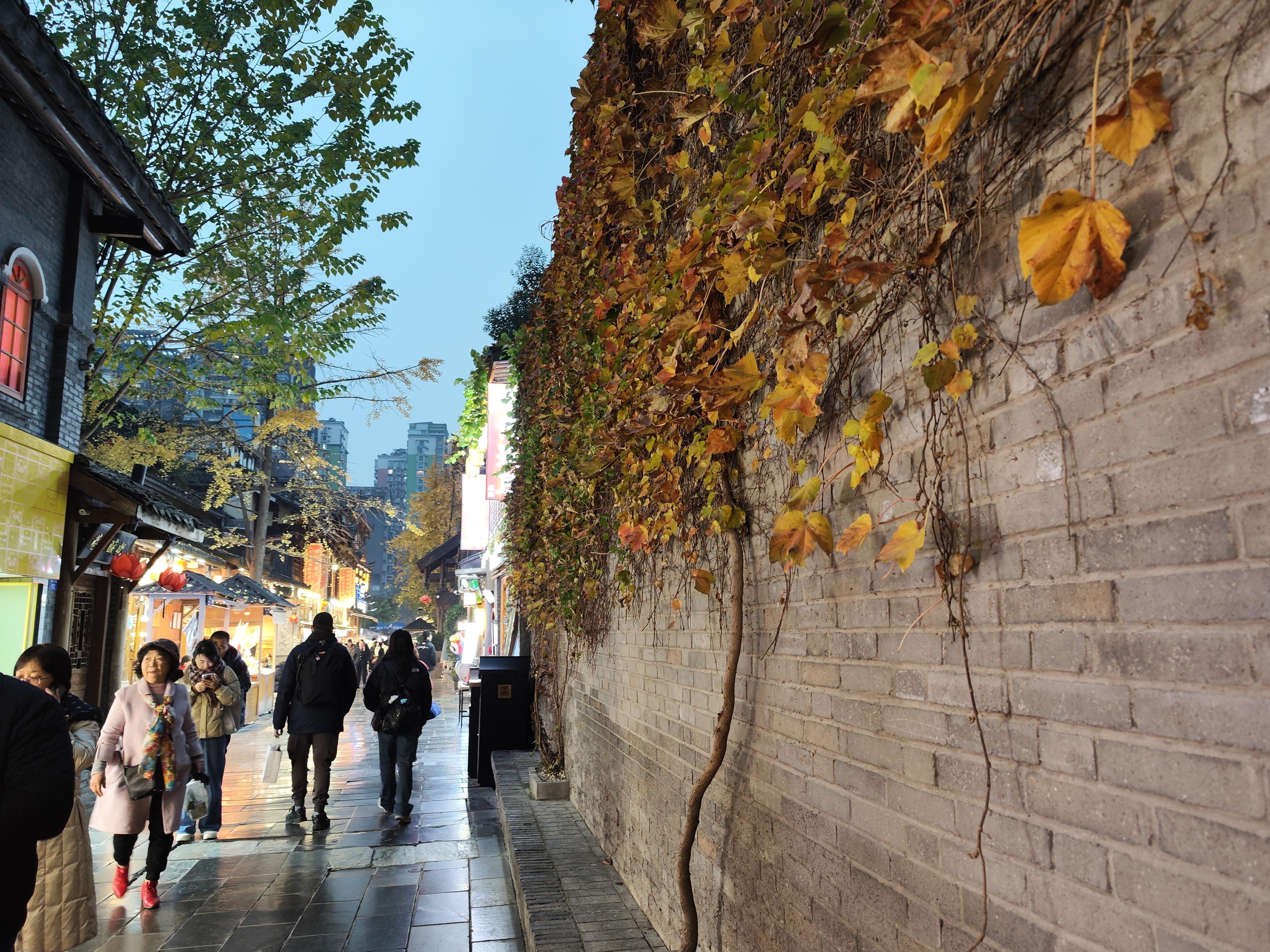 厦门街头巷尾的社交密码：女性常用暗号全解析手册