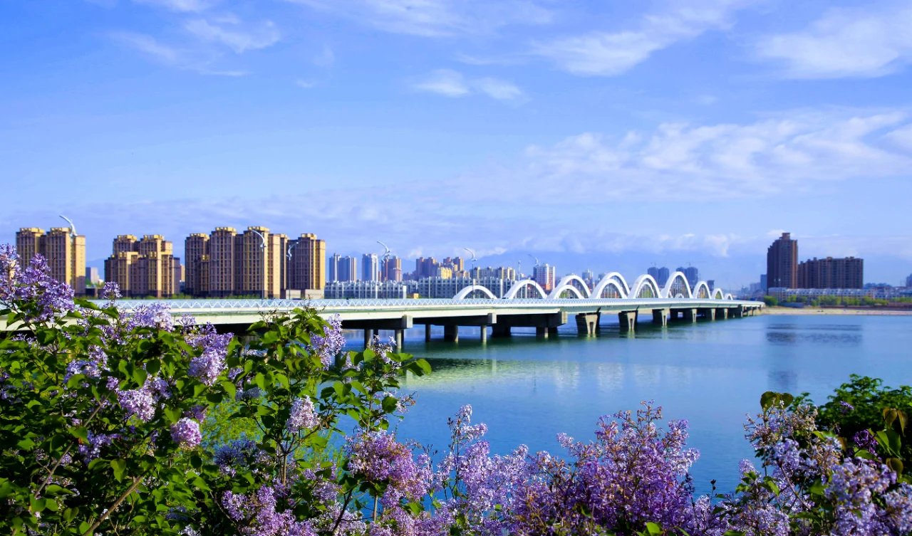 博乐同城空降约：揭秘博乐网的独特优势与新疆明星文化