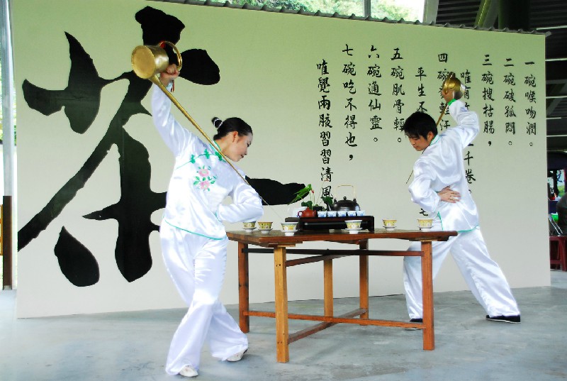 莞式十八式入门指南：新手必学的核心技巧详解与解析