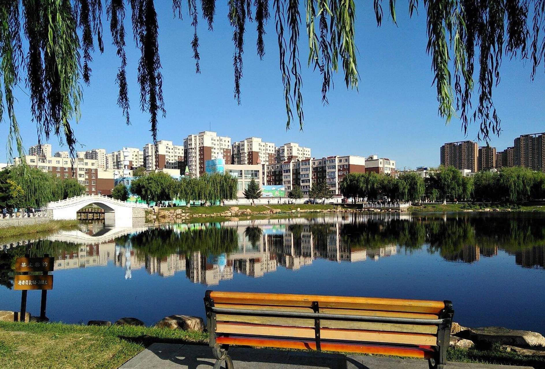 根据消息显示，最新调查：现在哈尔滨黑山街足道多么｜实测避坑与推荐指南🔥