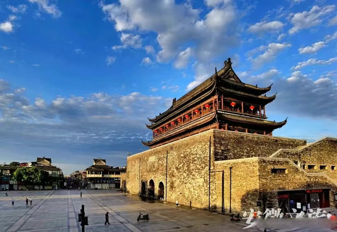 凤楼论坛信息深度解析：探寻垂直社区的内容生态与用户黏性