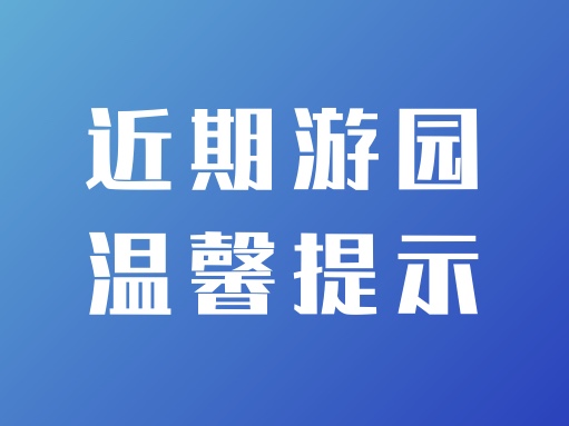 2025年小红书暗语解析与避坑指南