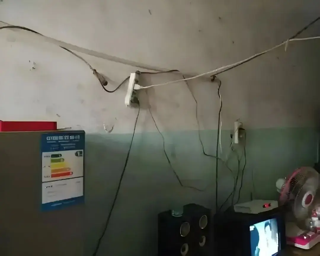 最新调查揭示的社会现象及口爆集锦里的隐藏风险大盘点