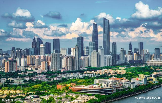 广州新媛论坛qm深度解析：女性成长社群的破圈实践与未来展望