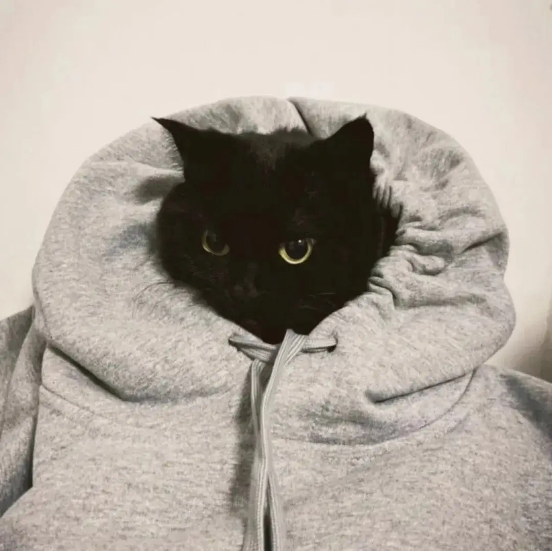 三亚新茶嫩茶wx探秘手册：从采摘到品鉴的完整攻略解密wx的多重含义