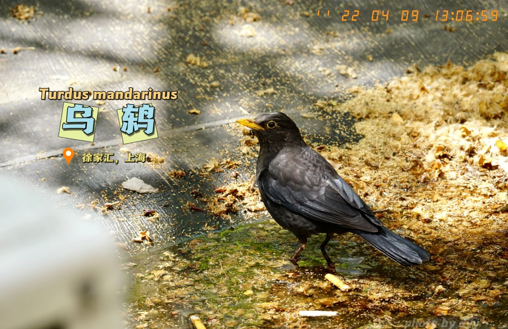 如何在乌鲁木齐找到维族姑娘？