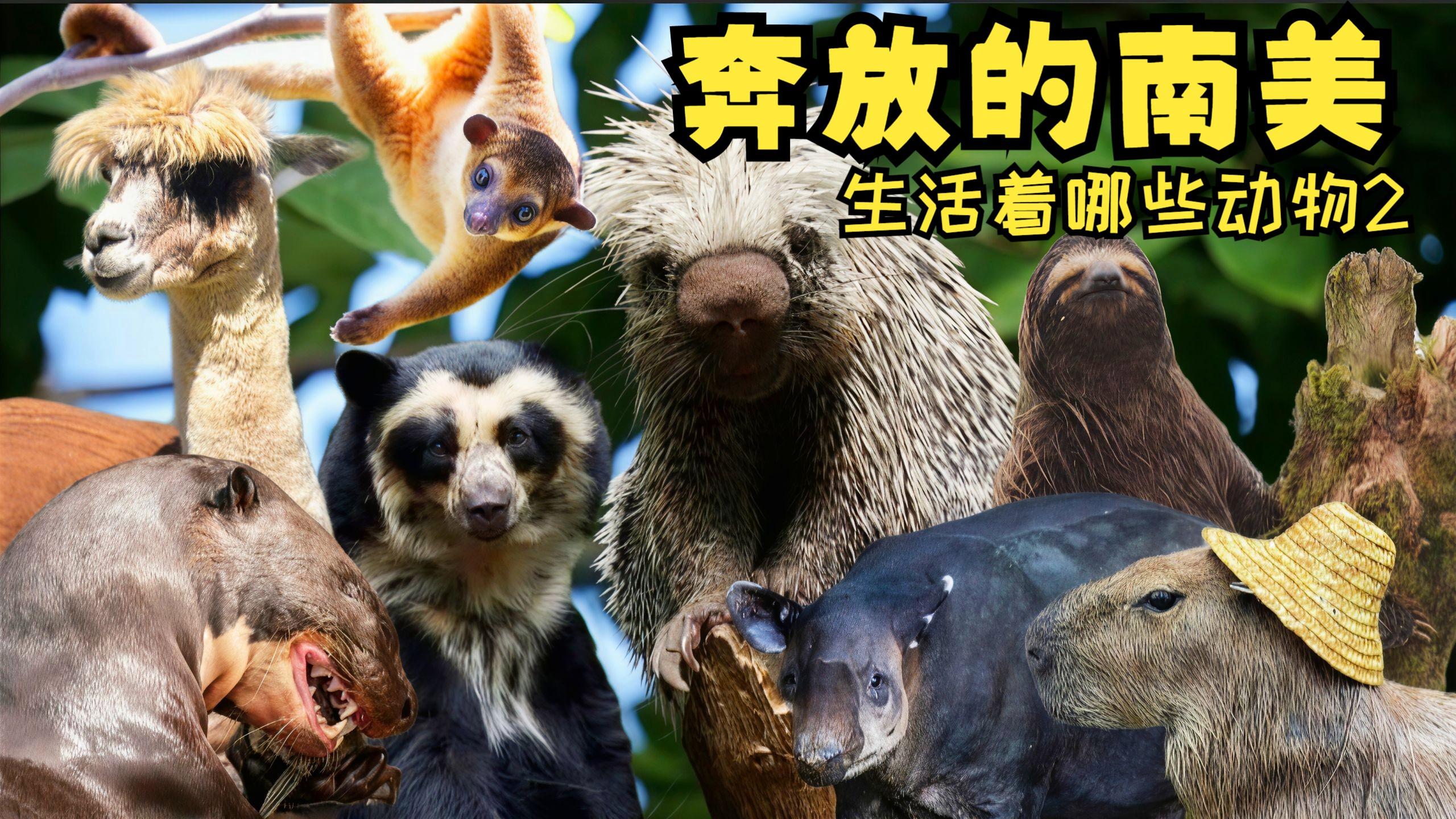 延安有哪些巷子和小吃街可以逛逛 推荐那些好玩的地方