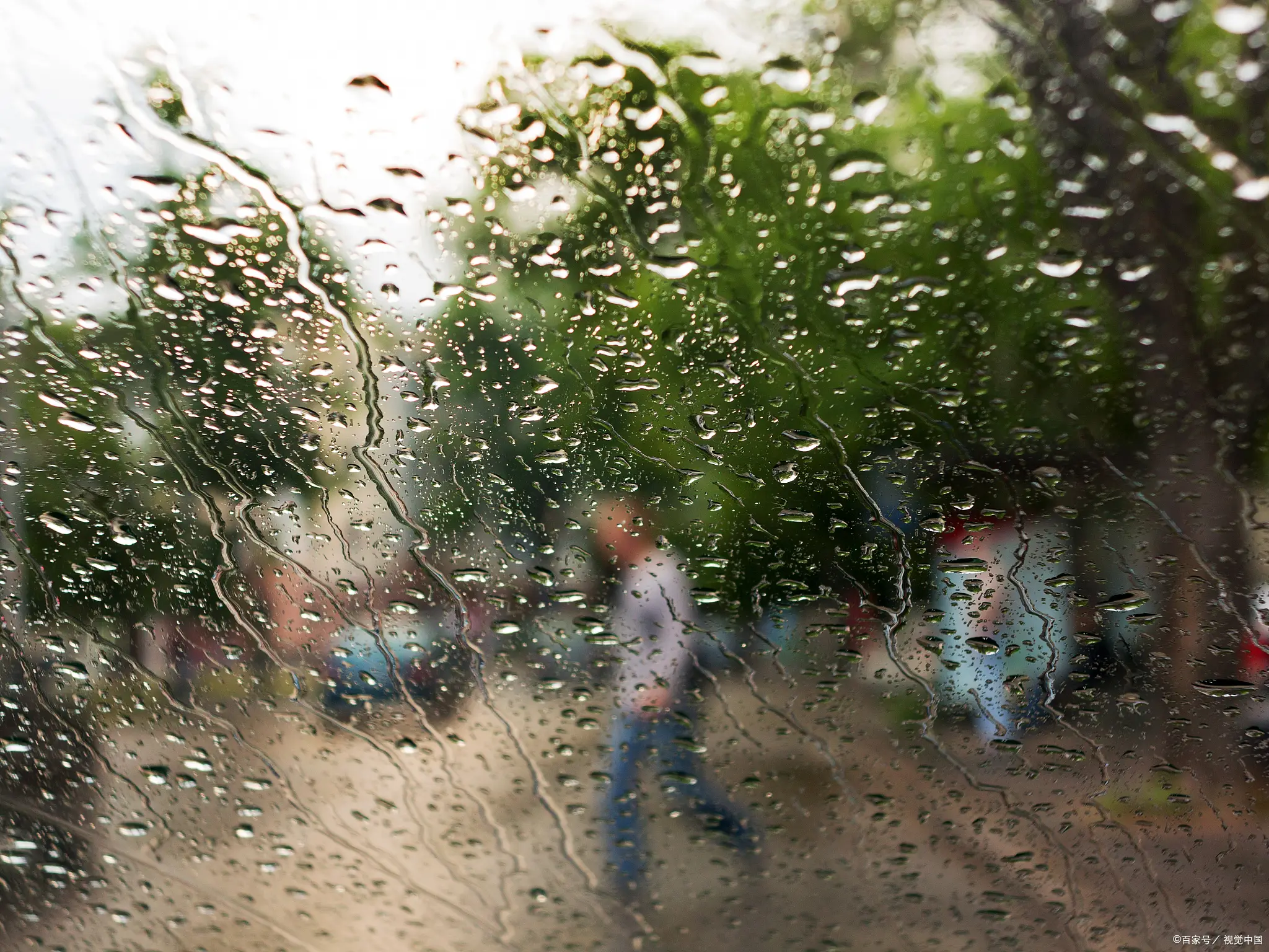 汉中校园快餐生态观察：台风天里疯传联系方式背后的秘密