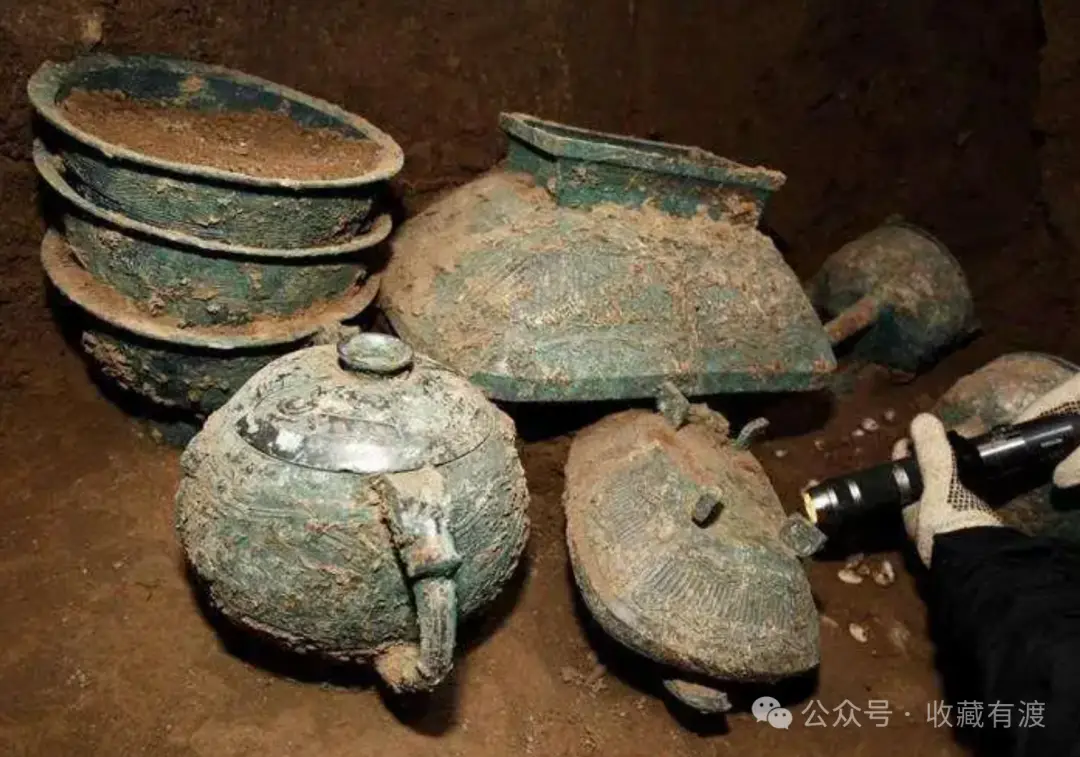 济南夜间野鸡出没地图：老猎户私藏点位大揭秘