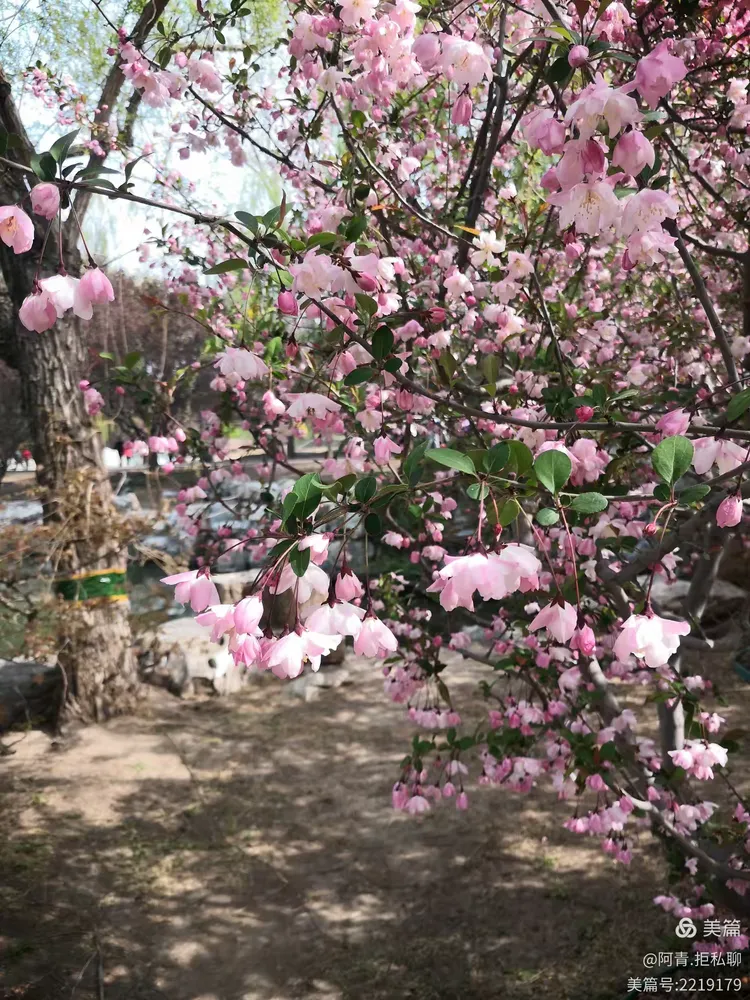 同城约跑全国可飞：当代年轻人的社交运动新潮流