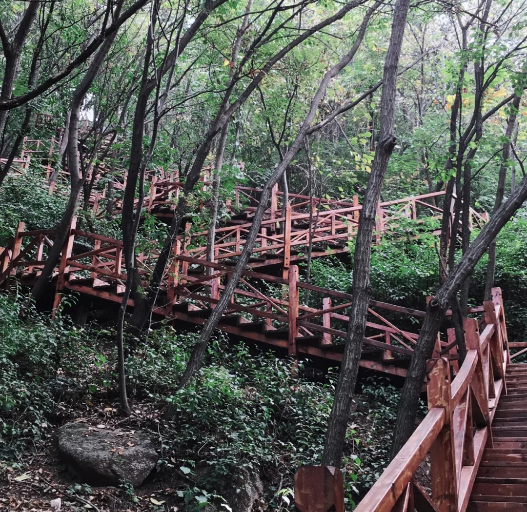 九江去spa怎么玩才能暗示飞机？九江去SPA怎么暗示飞机