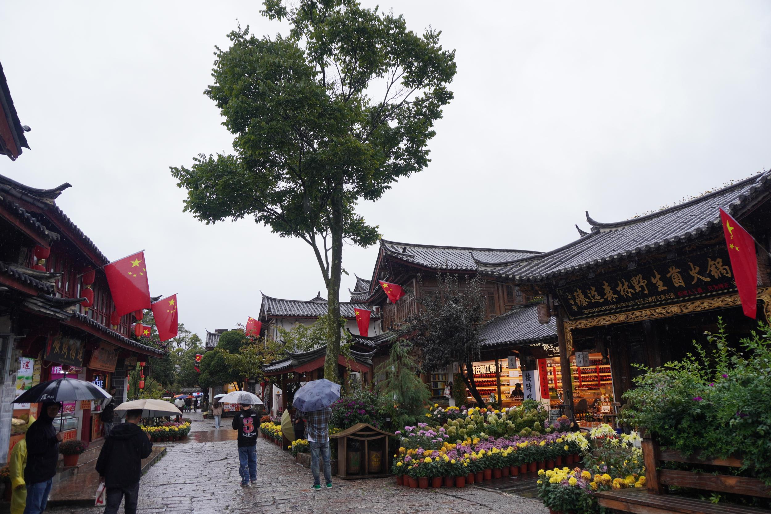 丽江品茶私人工作室——丽江体验的别样精彩