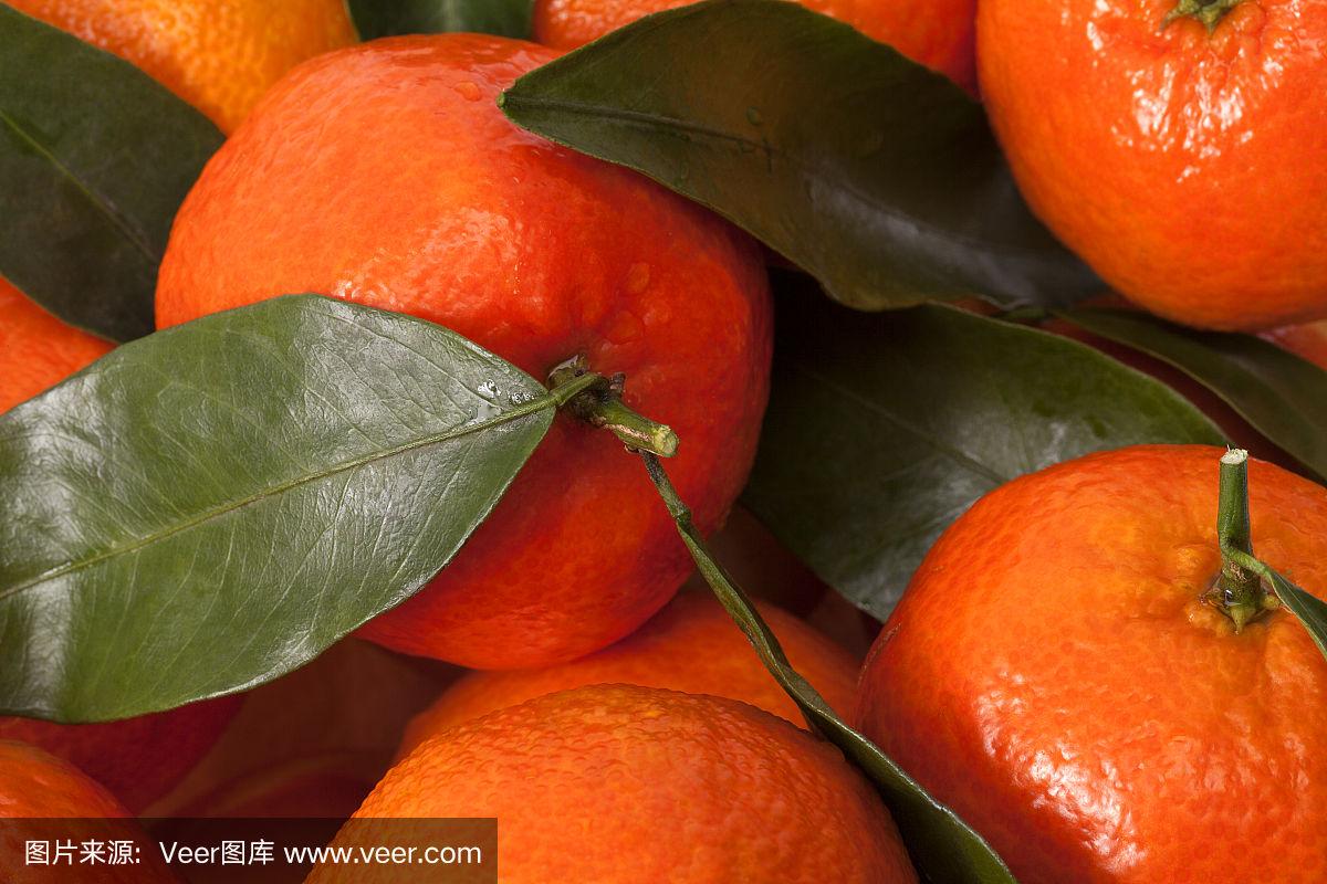 全果4t和半果2t到底是什么意思？