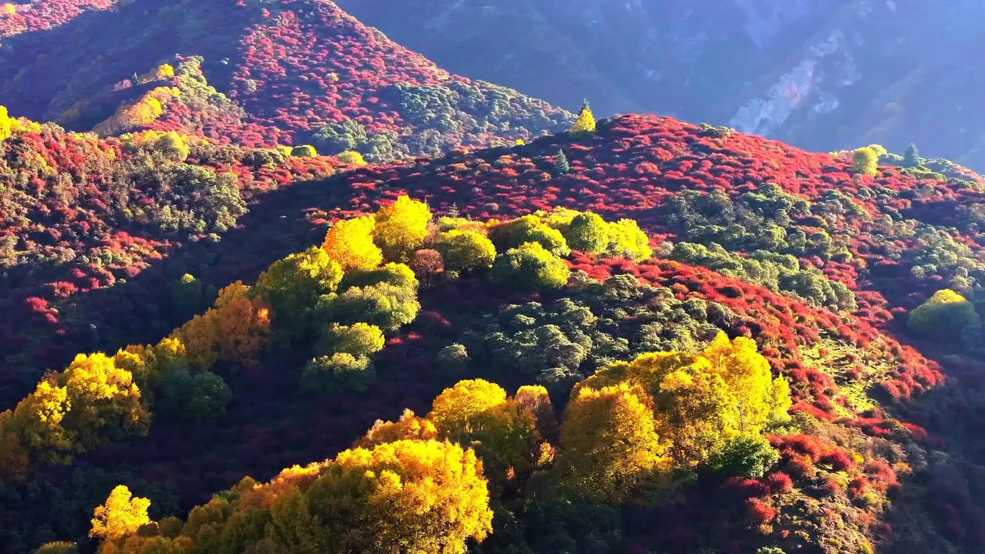 东营适合年轻人休闲游玩的热门场所推荐与指南