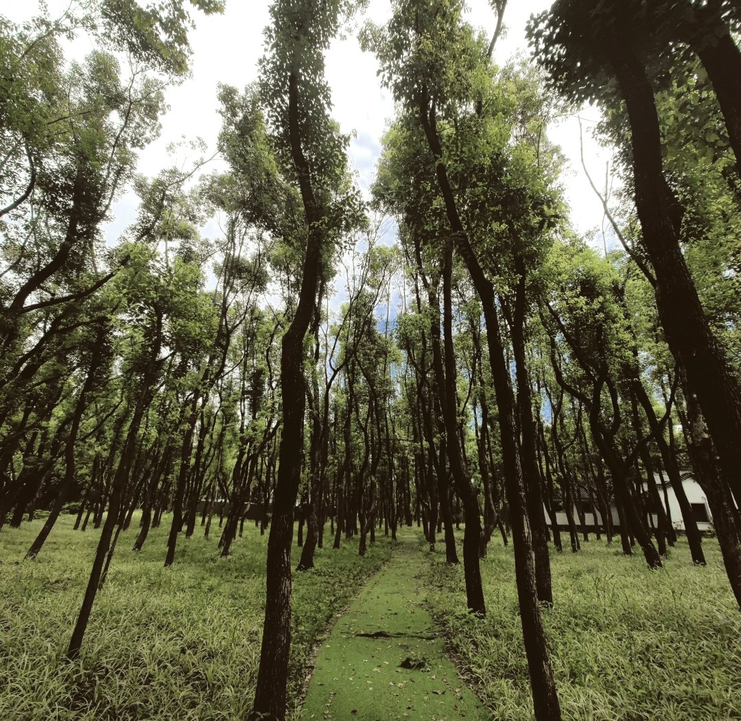 紧迫情况：武昌桑拿按摩论坛｜实测推荐与避坑指南🔥