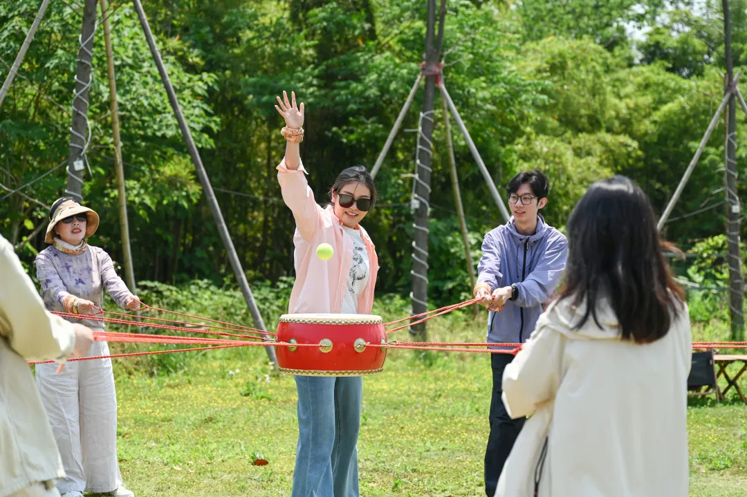 全国茶楼信息网官网,茶文化数字门户的权威指南