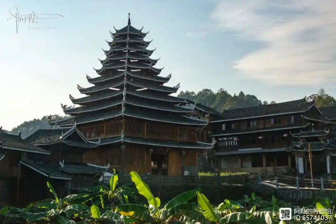 凤楼信息全解析及新手快速上手指南