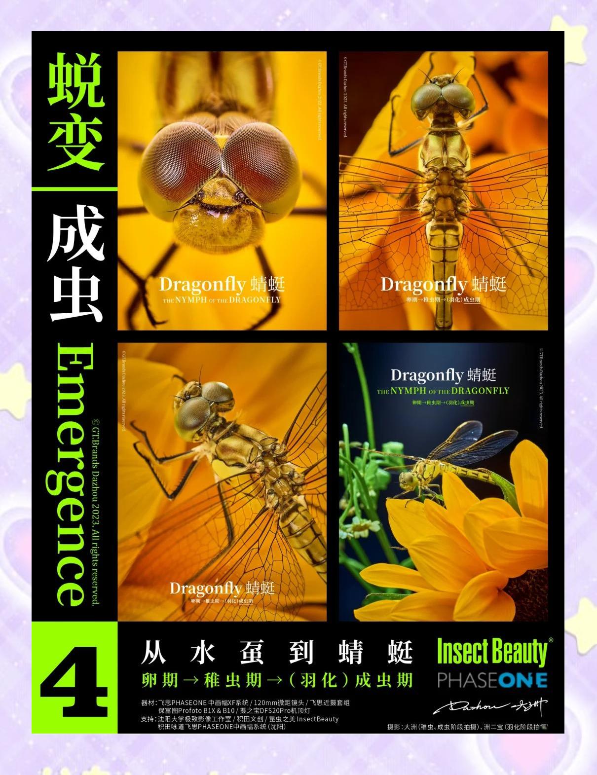 红蜻蜓社区：一个老牌工人新村的生存进化论