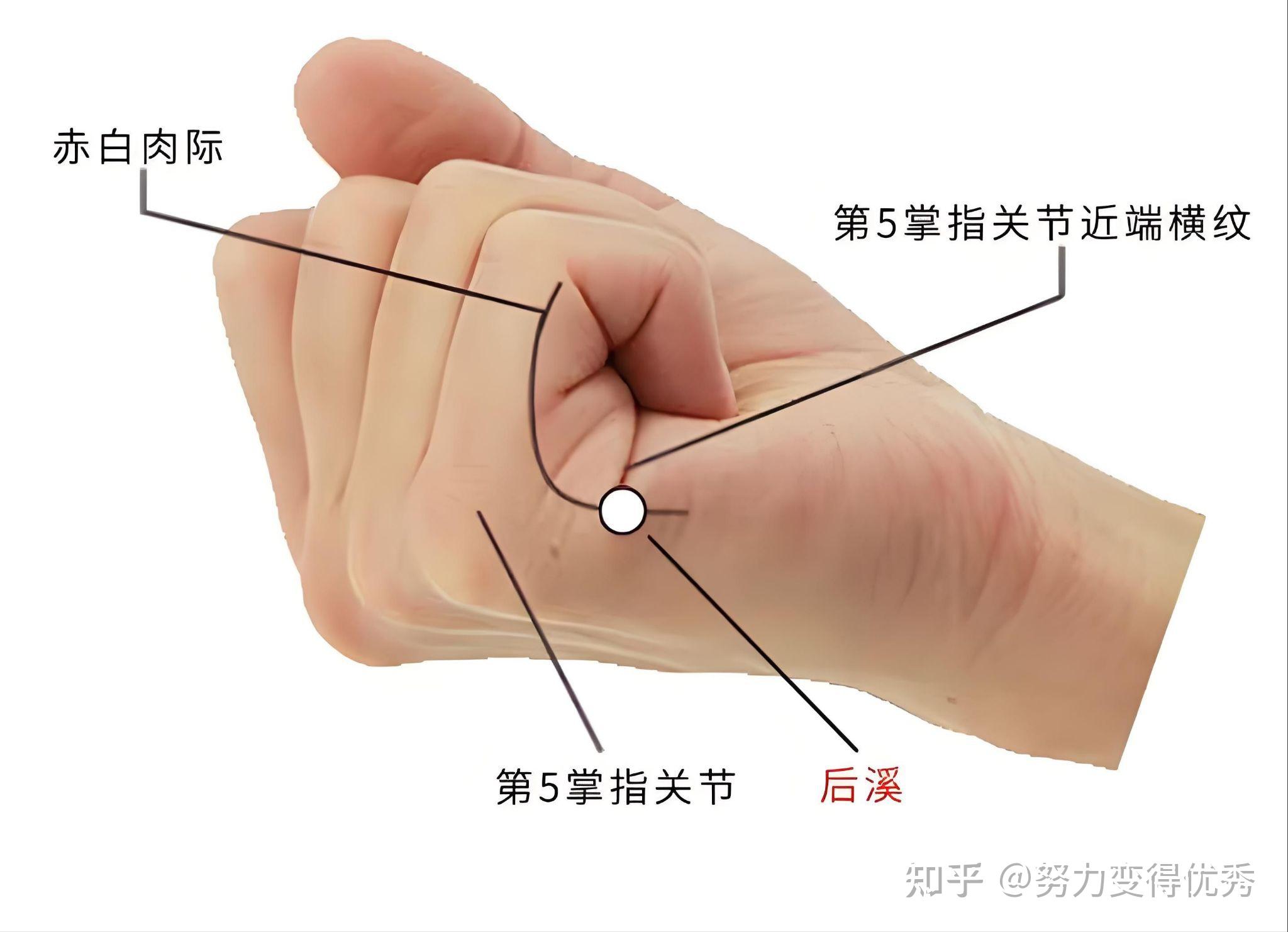 同城月抛现象的多维透视,当代青年社交困境与疏解路径