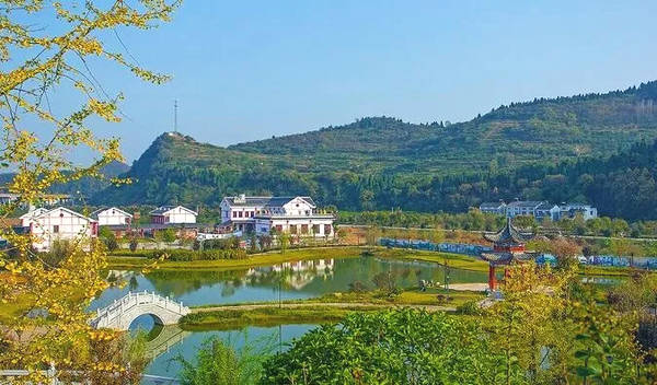 最新发现：廊坊大官庄村一条街还有吗？实地走访与最新情况解析