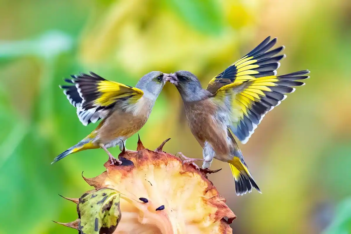 晨间热闻：唐山火车站附近街女，你知道这里的真实情况吗？