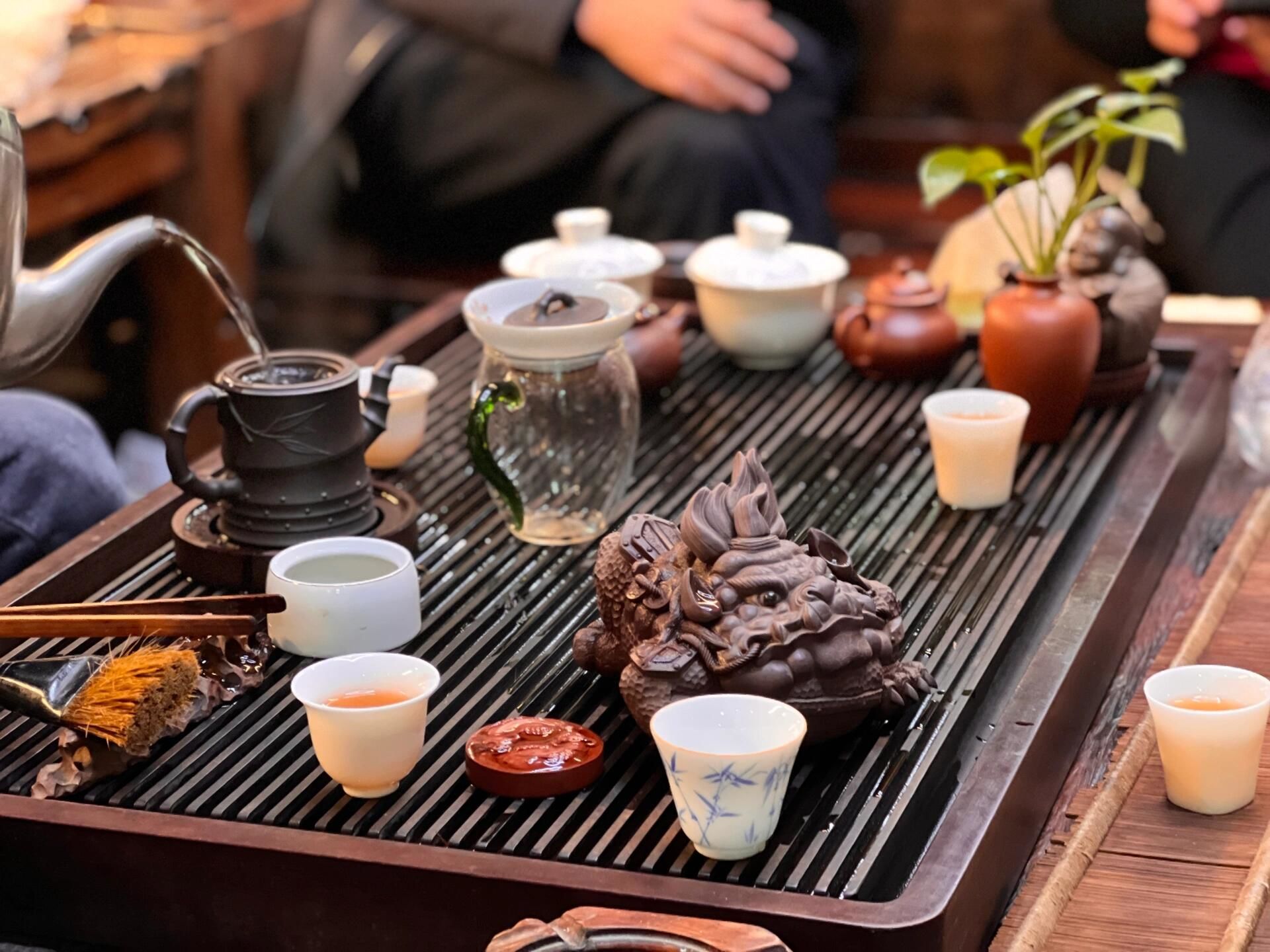 最新科学研究表明,乌鲁木齐大学生品茶究竟有哪些隐藏门道与真实体验？