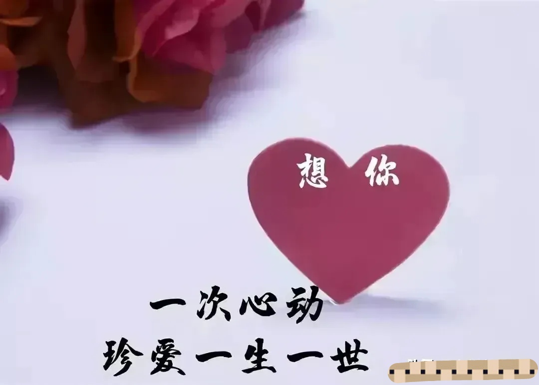 800元3小时不限次数快餐体验全解析