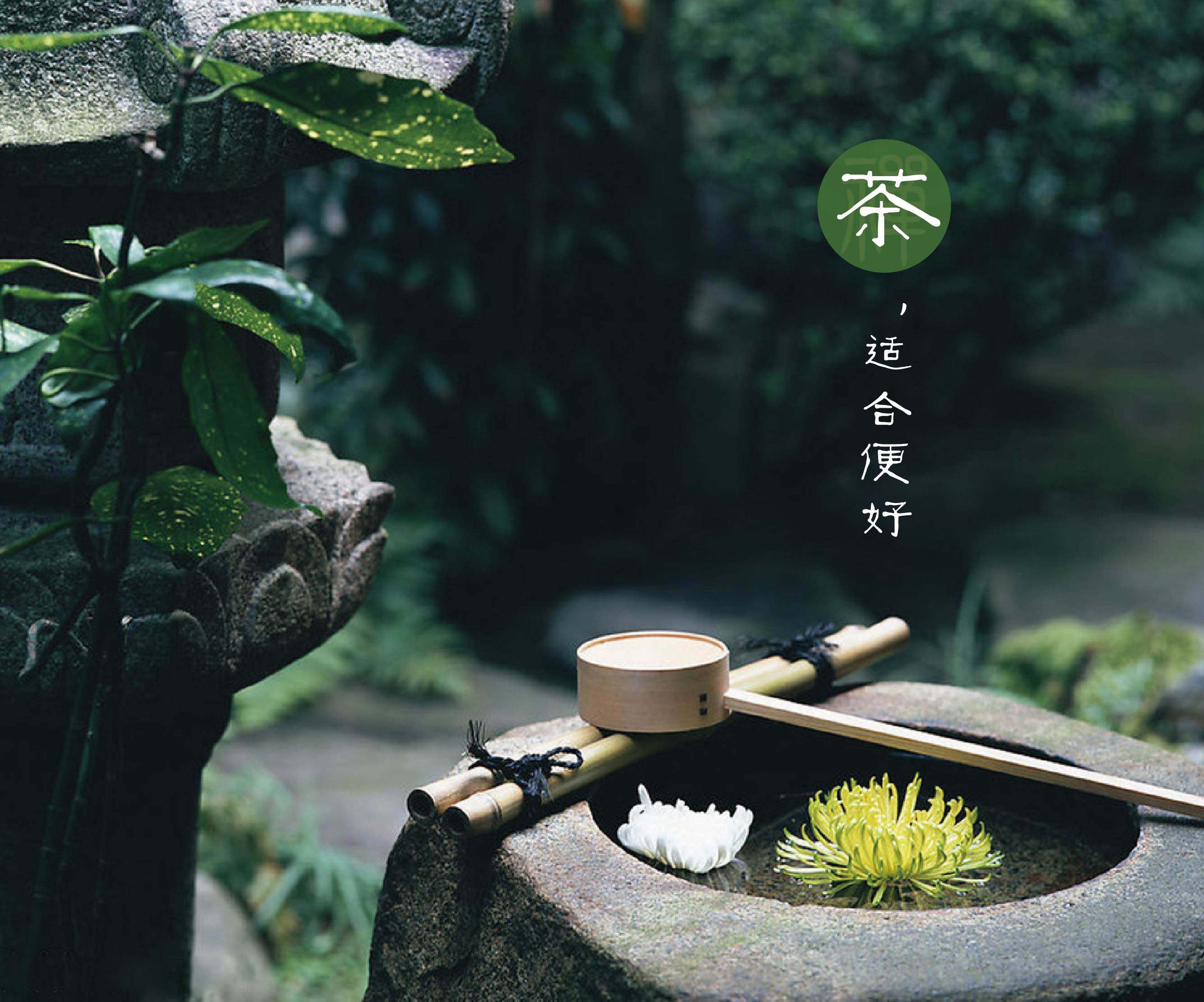 五一去哪喝茶？这份茶馆入门指南请收好