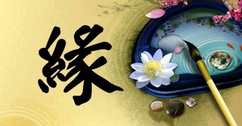 200块的爱情能走多远？真实故事与深度思考